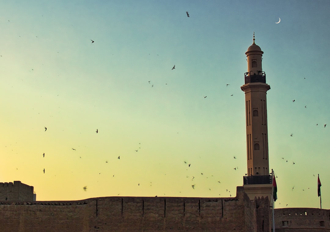 découvrez le mois sacré du ramadan, une période de jeûne, de prière et de réflexions spirituelles, où la communauté musulmane se réunit pour renforcer ses liens et pratiquer la charité. plongez dans les significations, les traditions et les conseils pour vivre ce mois avec sérénité et dévotion.