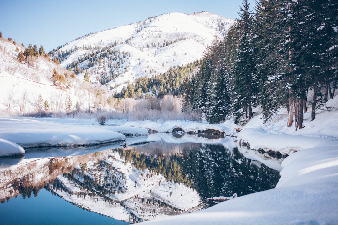 découvrez nos idées et conseils pour profiter pleinement des vacances d'hiver ! activités, destinations, et astuces pour rendre votre séjour exceptionnel et inoubliable.