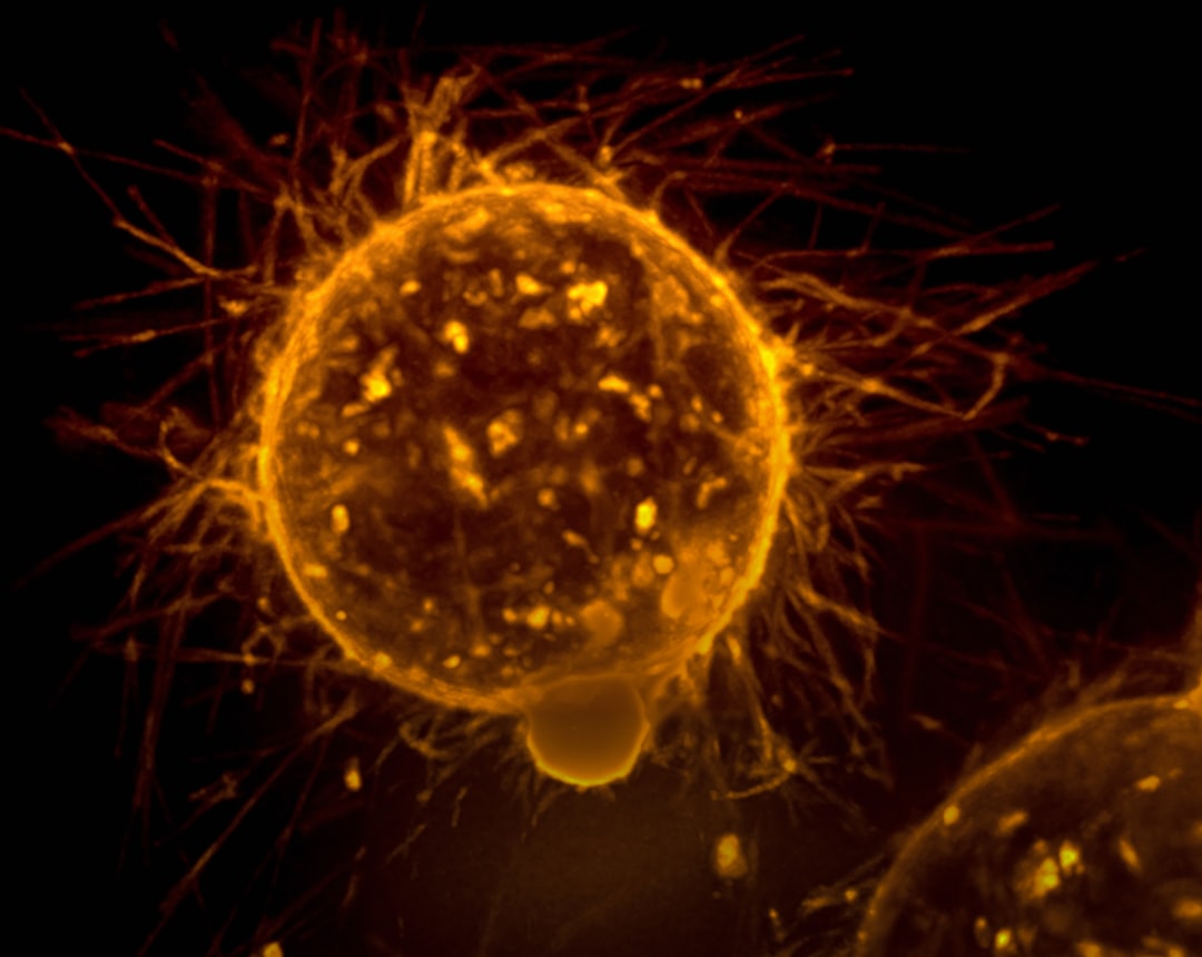 découvrez comment les tests sanguins révolutionnaires facilitent la détection précoce du cancer, permettant ainsi un diagnostic rapide et des options de traitement améliorées. renseignez-vous sur les avancées en médecine qui rendent les dépistages plus accessibles et efficaces.