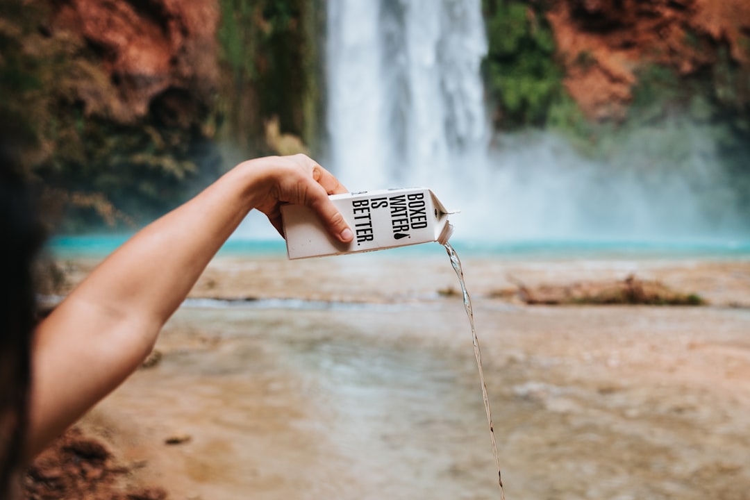 découvrez des solutions naturelles pour soulager la chaleur de manière efficace et apaisante. profitez de méthodes douces et respectueuses de l'environnement pour atténuer la chaleur et retrouver votre confort au quotidien.