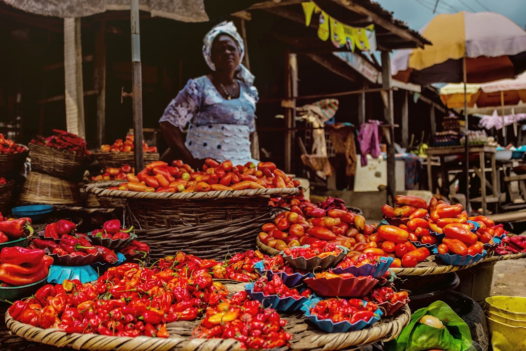 découvrez le nigeria, un pays riche en diversité culturelle, paysages époustouflants et histoire fascinante. explorez ses villes dynamiques, ses traditions vibrantes et sa cuisine savoureuse pour une expérience inoubliable.