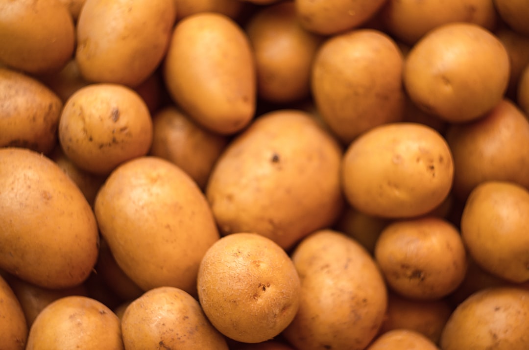 découvrez nos délicieuses recettes de pommes de terre, des astuces de cuisson aux variétés pour sublimer ce tubercule. que vous aimiez les frites croustillantes, les purées onctueuses ou les gratins savoureux, explorez le monde infini des pommes de terre et réveillez le chef qui sommeille en vous !