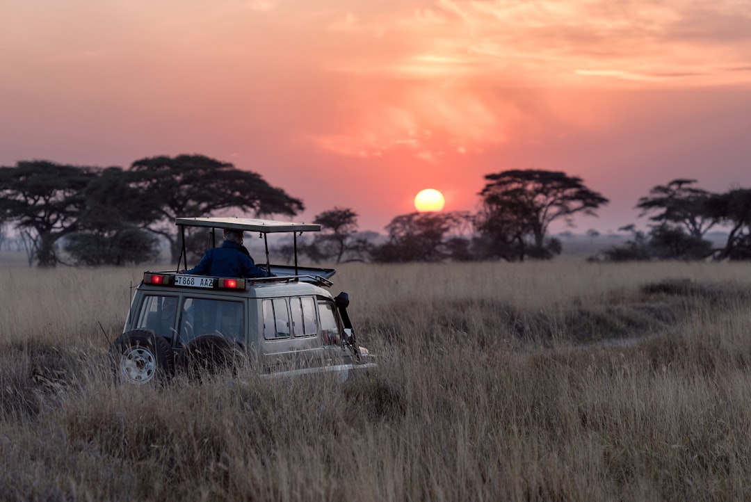 découvrez le plus petit pays d'afrique, un territoire fascinant qui regorge de culture, d'histoire et de paysages uniques. apprenez-en davantage sur ses caractéristiques, ses attractions et son importance sur le continent africain.