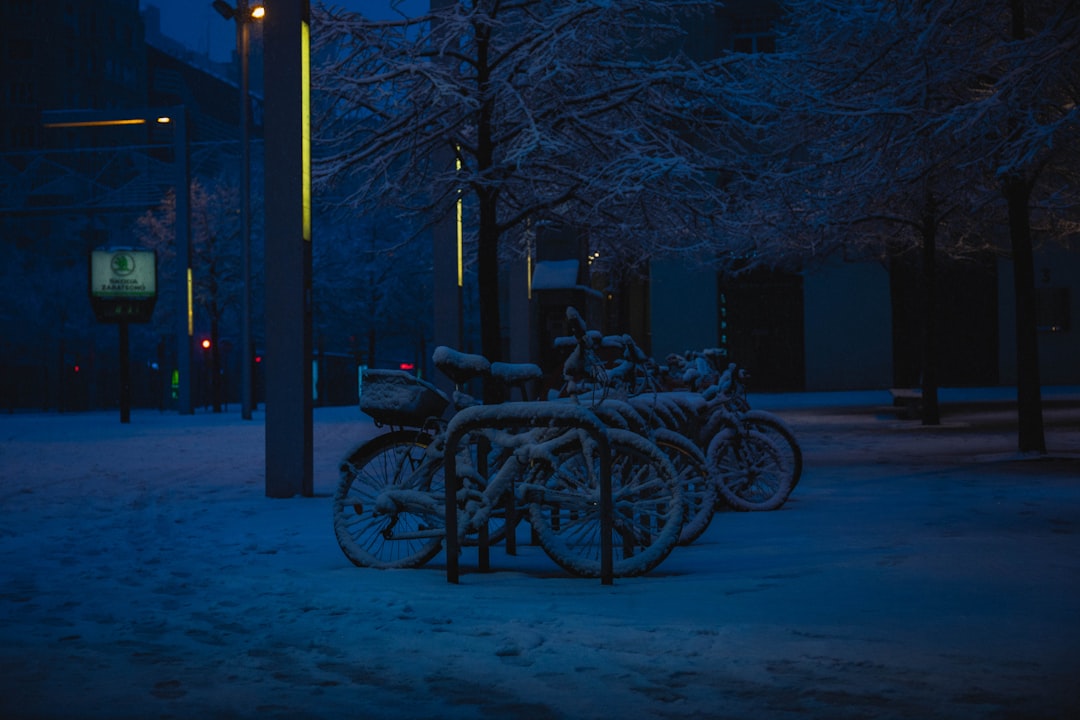 découvrez la magie de l'hiver avec nos conseils pour profiter pleinement de cette saison féérique. activités, recettes réconfortantes et astuces bien-être pour des moments inoubliables en hiver.
