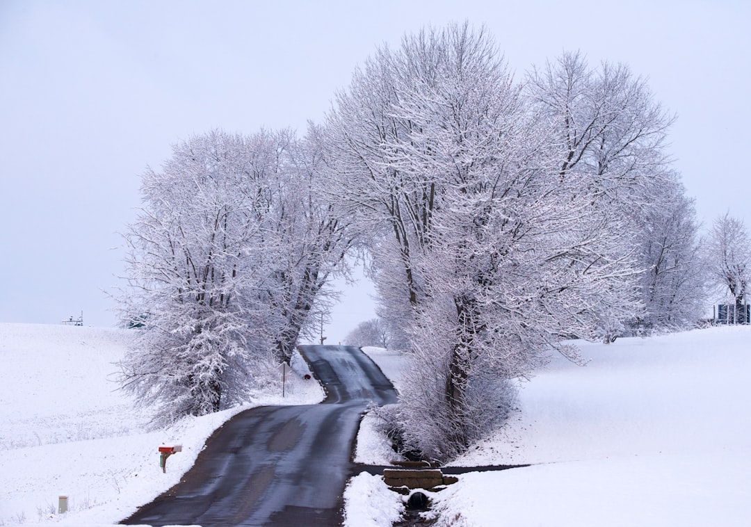découvrez la magie de l'hiver avec nos conseils et idées pour profiter pleinement de cette saison féerique. activités, recettes et inspirations pour passer des moments chaleureux malgré le froid.
