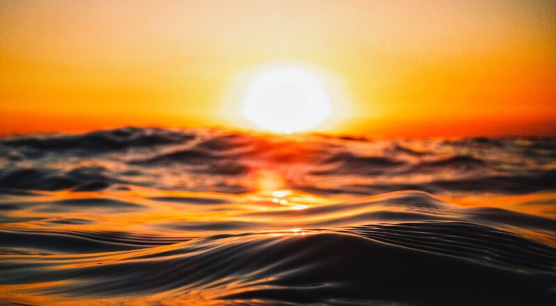 découvrez l'univers fascinant des océans, leur biodiversité extraordinaire, les défis environnementaux qu'ils rencontrent et l'importance vitale qu'ils représentent pour notre planète. plongez au cœur des mers et explorez les mystères des profondeurs.