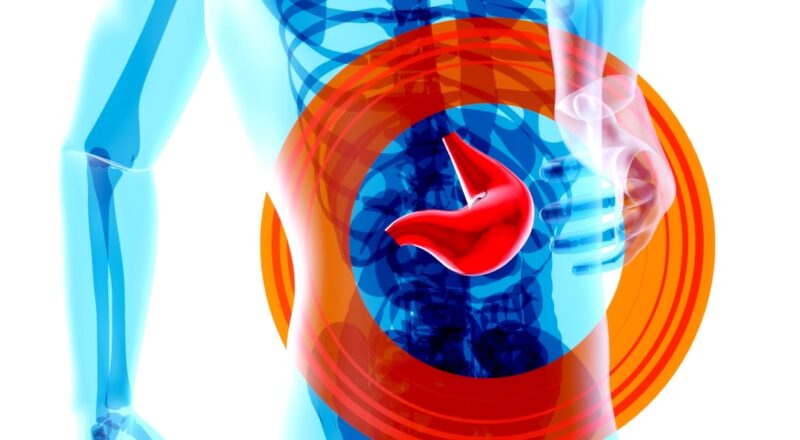 découvrez tout sur la digestion : son fonctionnement, son importance pour la santé, et des conseils pour améliorer votre digestion au quotidien.