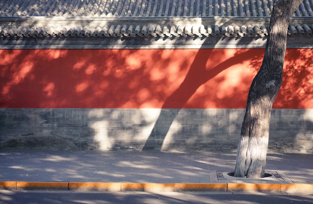 découvrez pékin, la capitale dynamique de la chine, mélange fascinant de traditions anciennes et de modernité. explorez ses sites emblématiques tels que la cité interdite, la grande muraille et le temple du ciel, tout en savourant la délicieuse cuisine locale et en vivant l'effervescence de ses marchés.