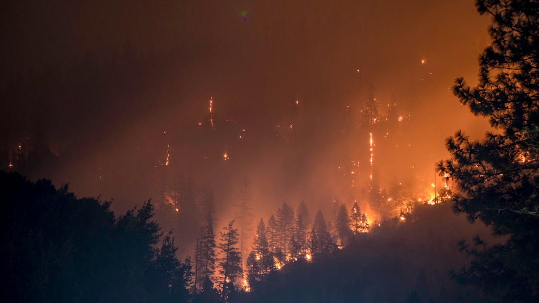 découvrez l'univers captivant de 'burn', un voyage intense à travers l'émotion et la passion. explorez les thèmes de la transformation et de la résilience, où chaque instant est une promesse de renouveau.