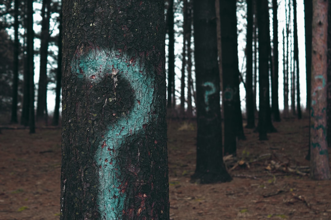 découvrez les différentes facettes de la confusion, ses causes, ses effets sur la prise de décision et comment la surmonter. explorez des conseils pratiques pour éclaircir votre esprit et retrouver votre clarté dans un monde complexe.