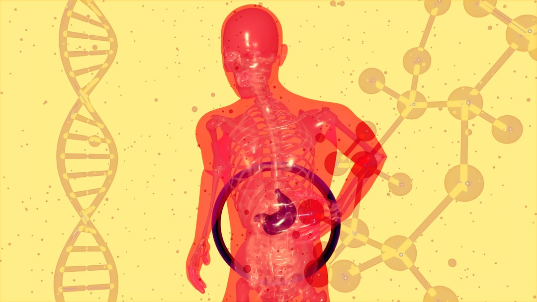 découvrez les clés d'une digestion saine et efficace. apprenez comment améliorer votre santé digestive grâce à des conseils nutritionnels, des habitudes de vie et des remèdes naturels.