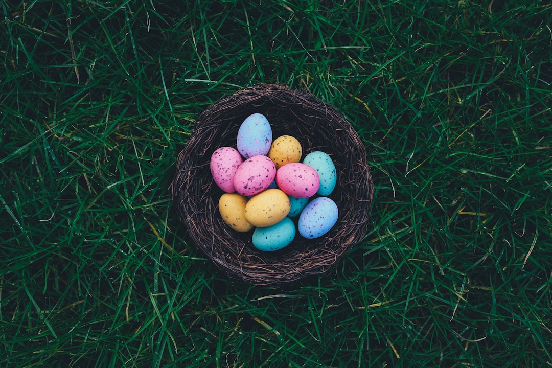 découvrez la magie de pâques avec notre sélection d'articles, recettes et activités festives pour célébrer cette occasion spéciale en famille et entre amis.