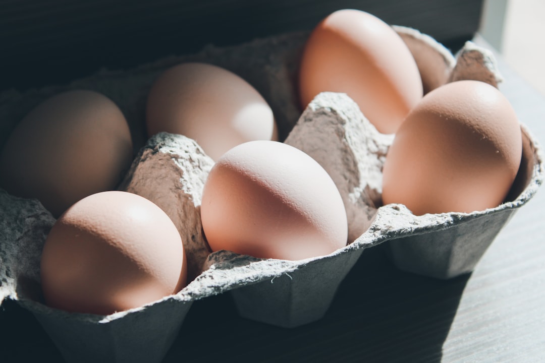 découvrez comment vérifier la fraîcheur des œufs et assurez-vous de leur qualité pour vos recettes. apprenez des astuces simples pour déterminer si vos œufs sont frais et prêts à être cuisinés, pour des plats toujours savoureux.
