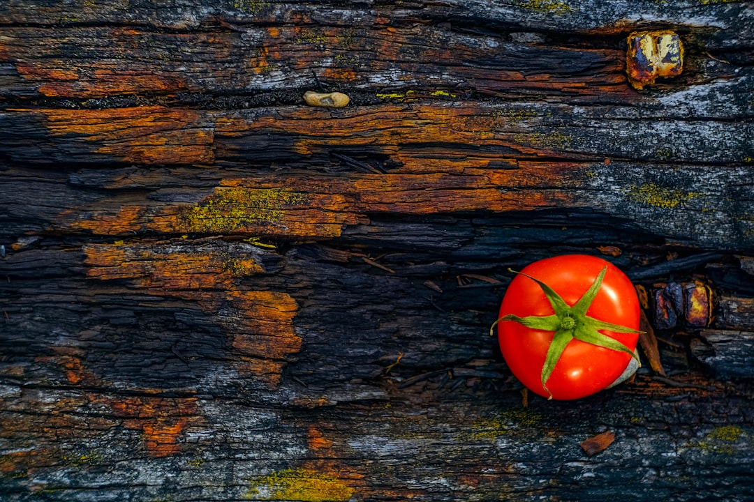découvrez notre sélection variée d'aliments délicieux, allant des recettes saines aux plats gourmands. explorez des conseils nutritionnels, des idées de repas et des astuces de cuisine pour ravir vos papilles.