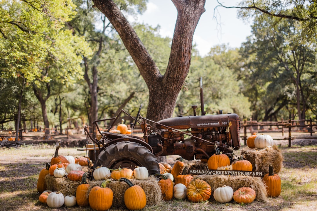 découvrez la magie d'halloween : une fête terrifiante remplie de costumes, de décorations effrayantes, de bonbons et de frissons. plongez dans l'univers des sorcières et des fantômes, et préparez-vous à vivre une soirée mémorable entre amis et en famille.