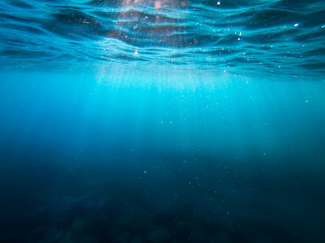 découvrez la beauté et la biodiversité des océans, explorez leurs mystères et comprenez leur importance cruciale pour la vie sur terre. plongez dans un voyage fascinant à travers les mers et océans du monde.