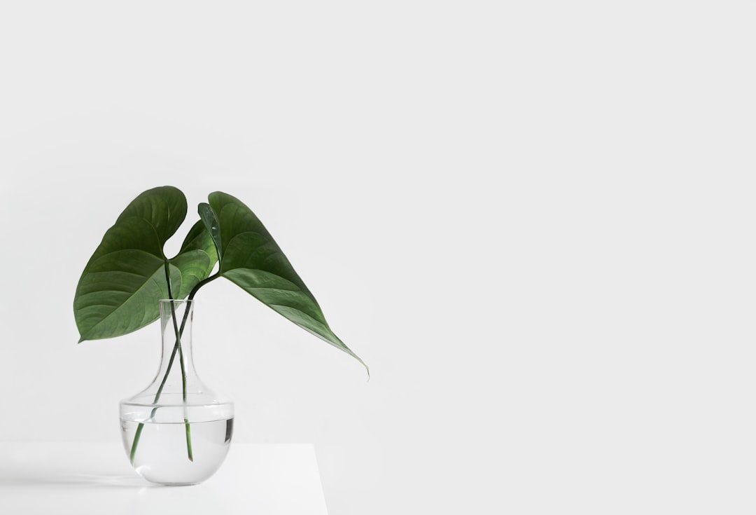 découvrez comment identifier les plantes grâce à notre guide complet. apprenez à reconnaître les espèces grâce à des descriptions détaillées, des images et des conseils pratiques pour les passionnés de botanique et les jardiniers.