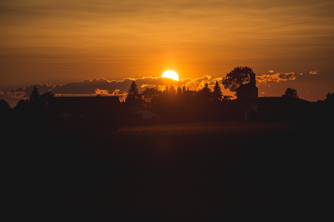 découvrez l'art des salutations et l'importance des mots dans nos interactions quotidiennes. apprenez à établir des connexions authentiques grâce à des gestes simples et des expressions chaleureuses.