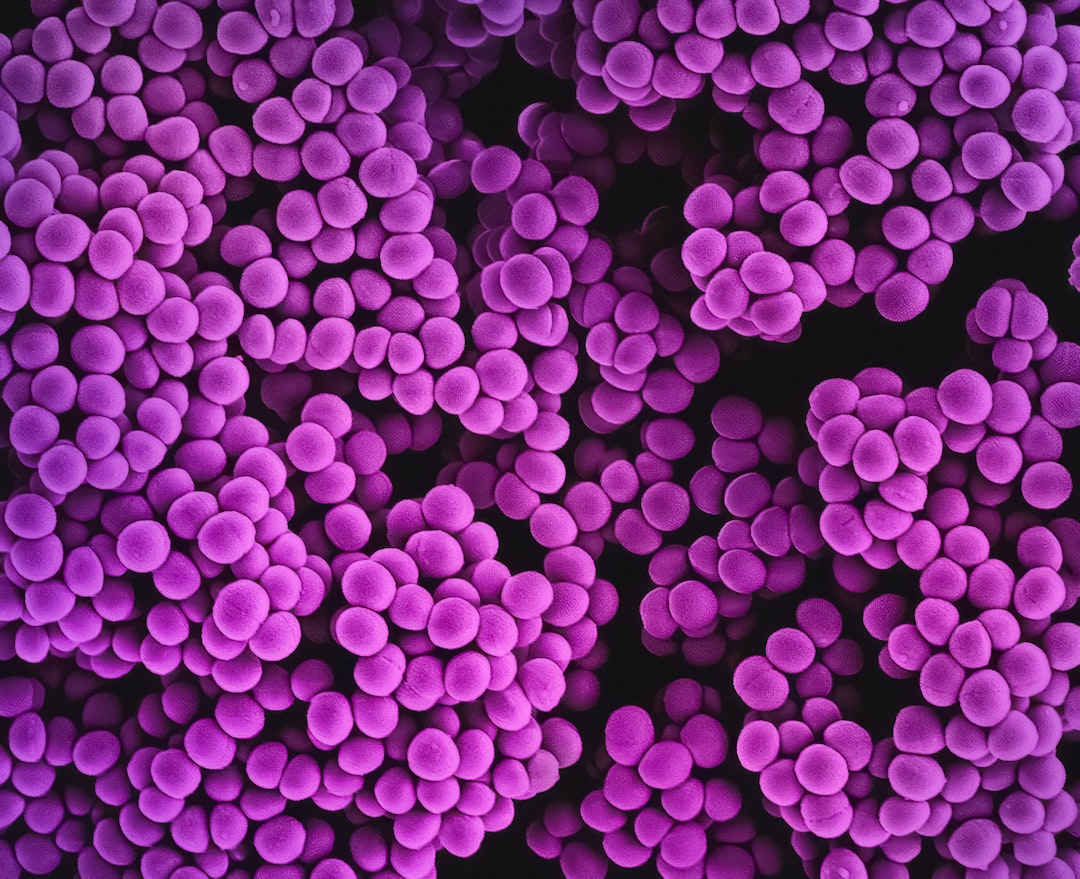 découvrez tout ce que vous devez savoir sur le staphylocoque, un groupe de bactéries à la fois bénéfiques et potentiellement dangereuses. explorez ses caractéristiques, ses modes de transmission, ainsi que les infections qu'il peut causer, tout en apprenant les mesures préventives à adopter pour rester en bonne santé.