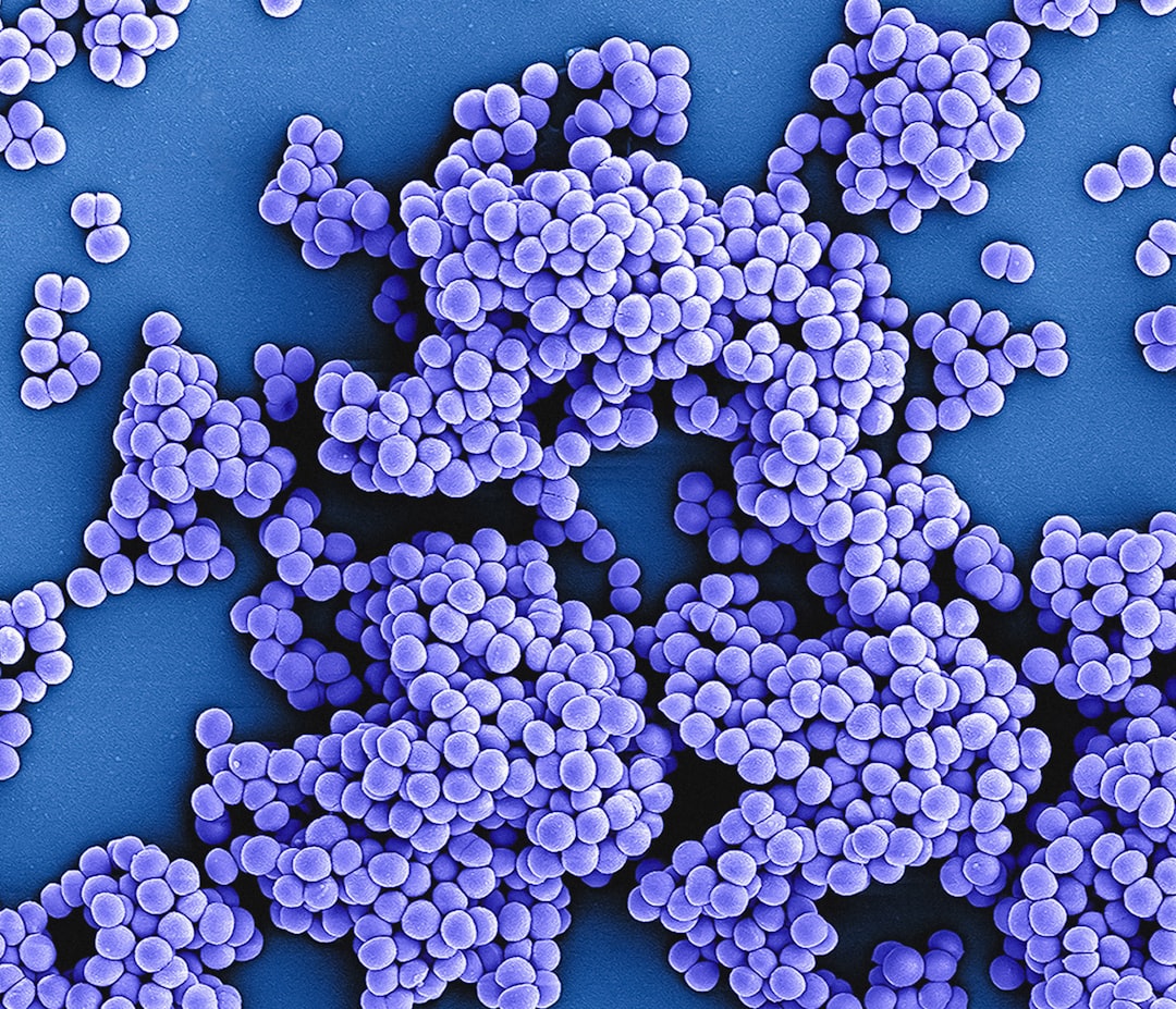 découvrez tout sur le staphylococcus, un genre de bactéries courantes, y compris ses types, ses effets sur la santé humaine, et comment prévenir les infections. informez-vous sur les symptômes, les traitements et les précautions à prendre pour éviter les complications.