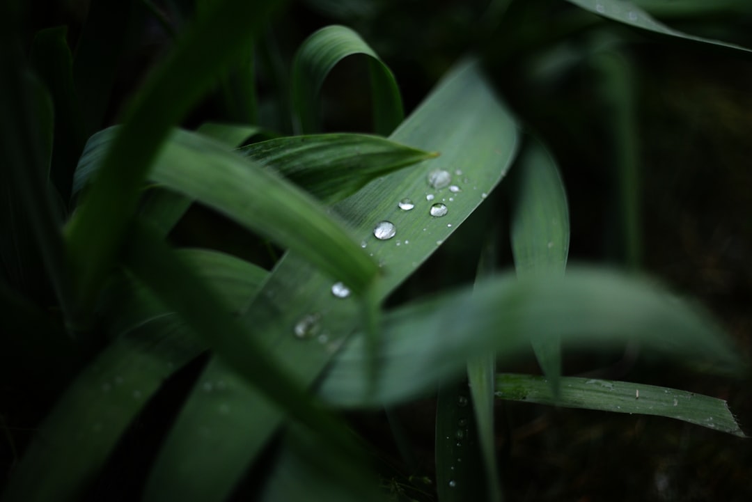 découvrez des solutions efficaces pour soulager vos douleurs d'estomac. apprenez des remèdes naturels et des conseils pratiques pour un confort digestif optimal.