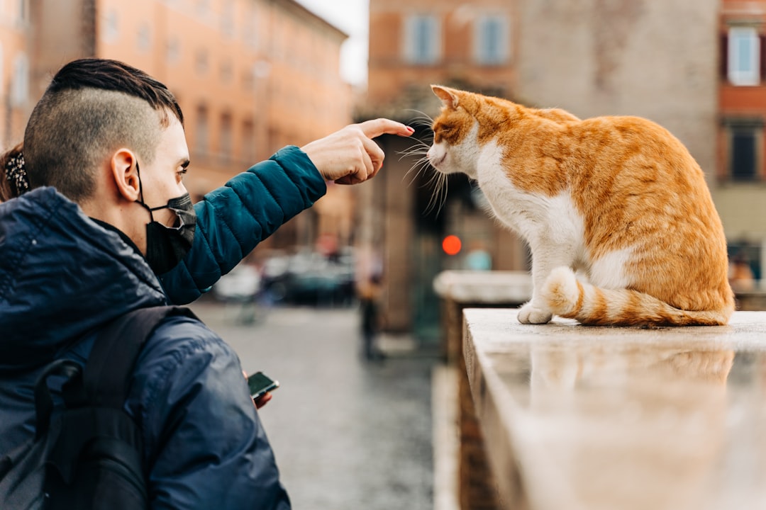 découvrez l'univers fascinant des chats errants, leur comportement, leur habitat et les défis qu'ils rencontrent dans la société moderne. apprenez comment ces félins s'adaptent et survivent dans nos villes.