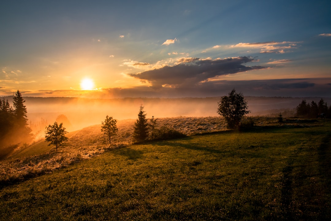 découvrez la magie d'un lever de soleil inoubliable, où les couleurs éclatantes illuminent l'horizon et annoncent un nouveau jour plein de promesses. plongez dans l'émerveillement de la nature et laissez-vous séduire par ce spectacle fascinant.