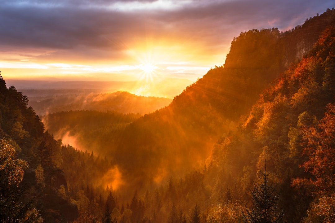 découvrez la beauté captivante d'un lever de soleil, où la lumière douce illumine le ciel, créant un spectacle éblouissant de couleurs chaudes. plongez-vous dans la magie de chaque matin et laissez-vous inspirer par ce moment paisible.