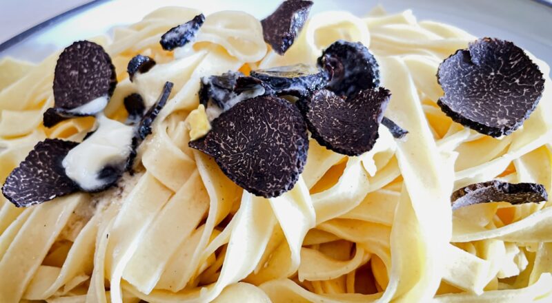 découvrez l'univers fascinant des truffes, ces champignons rares et délicats qui enchâtrent la cuisine gastronomique. apprenez tout sur leurs variétés, méthodes de recherche et recettes exquises pour sublimer vos plats.