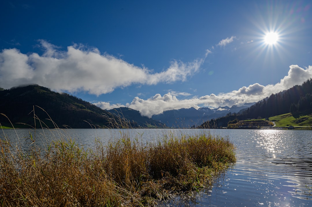 découvrez les lacs artificiels, véritables merveilles de la nature créées par l'homme. explorez leur rôle écologique, les activités qu'ils offrent et leur beauté paysagère.