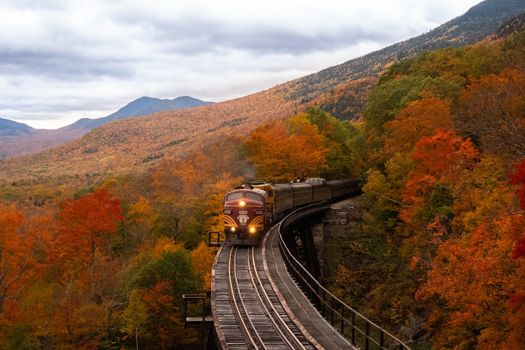 découvrez la magie de l'automne : des paysages colorés, des journées douces et des activités en plein air. plongez dans l'ambiance chaleureuse de cette saison où la nature se pare de ses plus belles teintes.