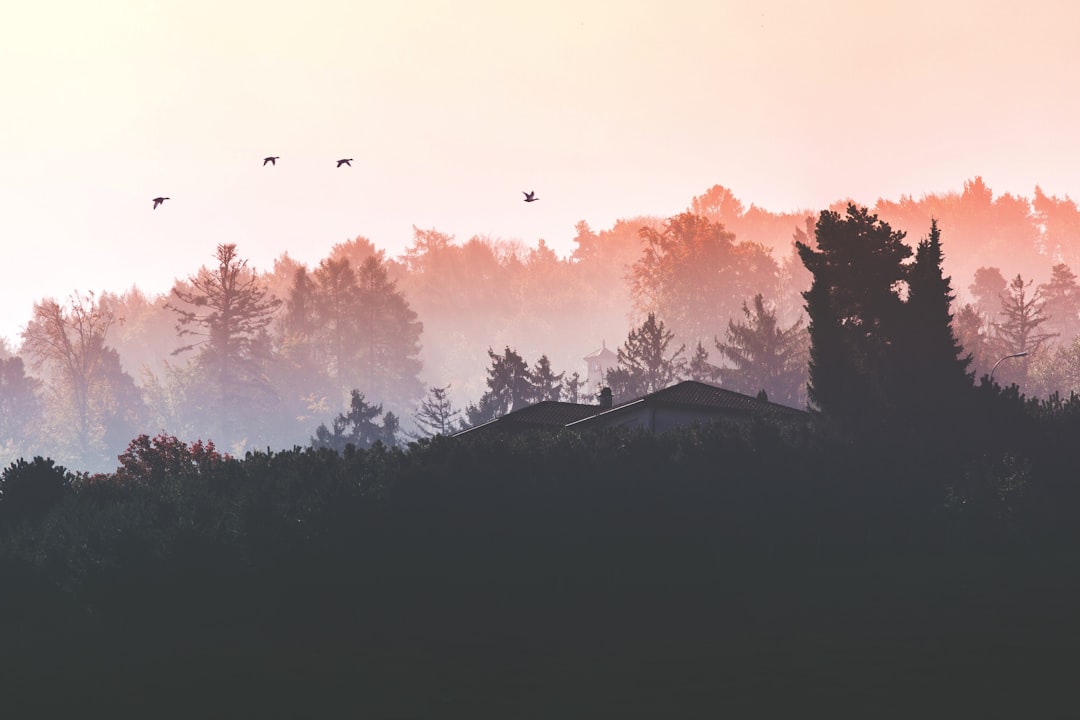 découvrez la beauté de l'automne avec ses couleurs vibrantes, ses paysages enchanteurs et ses activités conviviales. plongez dans la magie de cette saison où la nature se transforme et invite à la contemplation.