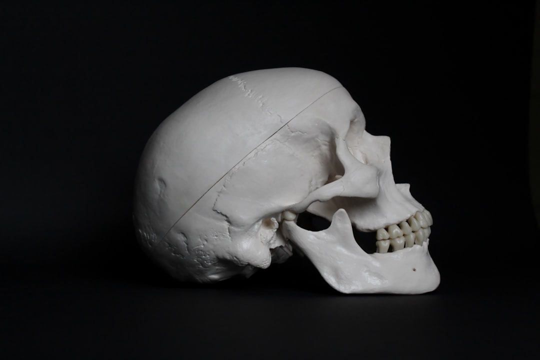 découvrez l'univers fascinant des os, leur structure, leur fonction et leur rôle essentiel dans le corps humain et animal. apprenez comment ils se développent, guérissent et se régénèrent, tout en explorant l'importance de la santé osseuse à travers une alimentation équilibrée et l'exercice physique.