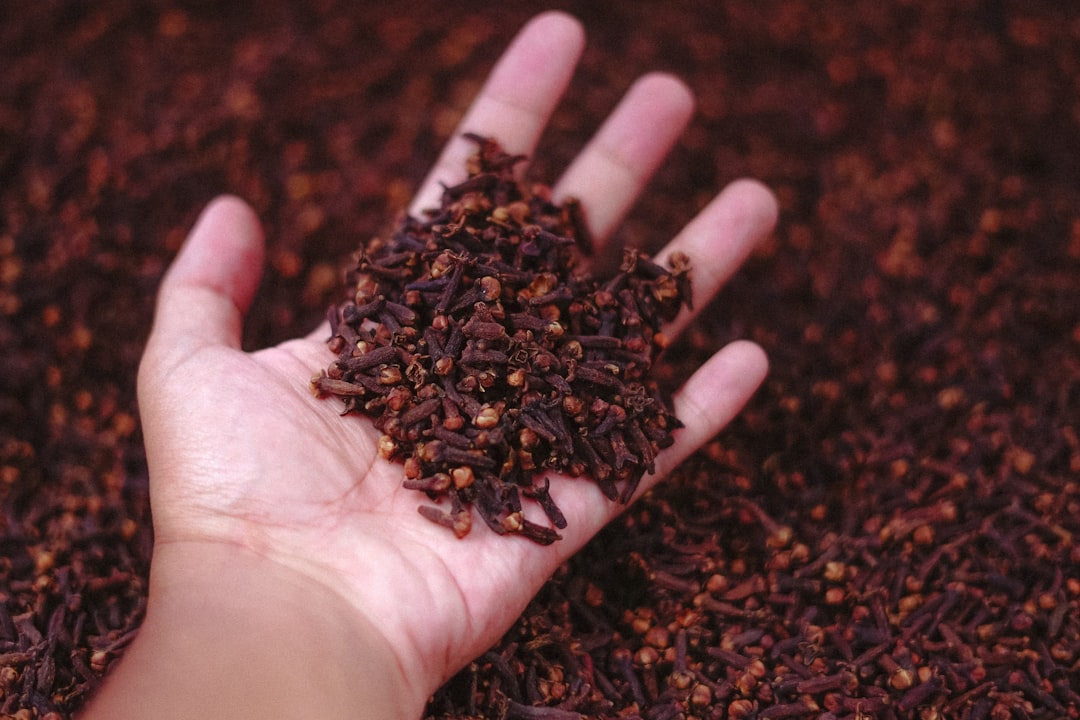 découvrez les bienfaits et les utilisations de la girofle, une épice aromatique aux propriétés médicinales remarquables. explorez ses saveurs uniques et son rôle dans la cuisine et la santé.