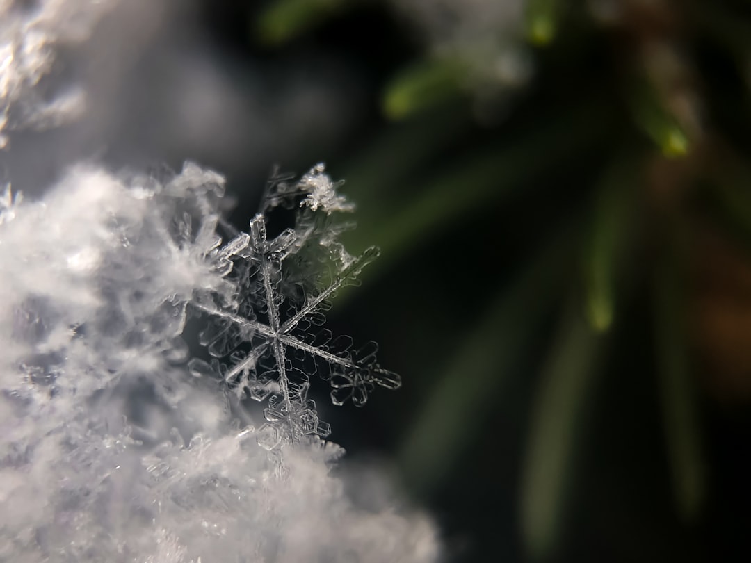 découvrez le phénomène de la diurèse froide, un processus physiologique fascinant qui se produit lorsque le corps réagit à des températures basses. apprenez comment cette réaction influence l'élimination de l'eau et des électrolytes, ainsi que ses implications sur la santé et le bien-être.