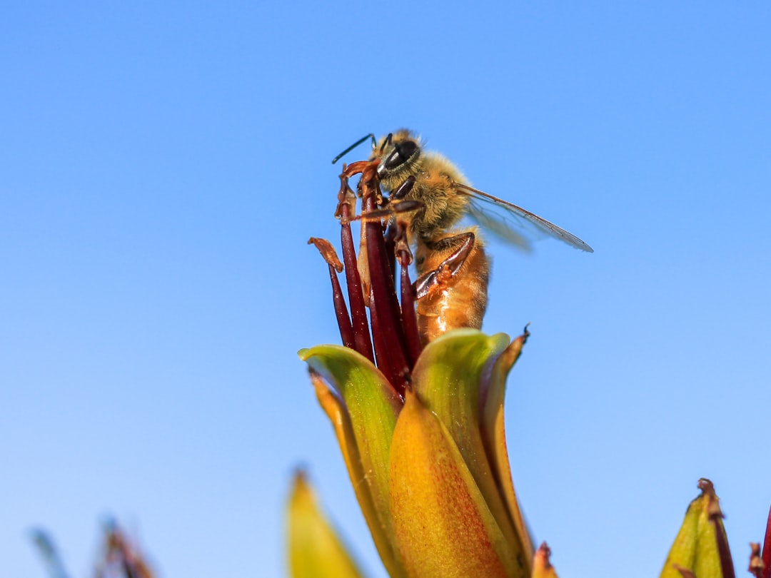 découvrez le processus de fertilisation, essentiel à la reproduction des plantes et des animaux. apprenez les différentes techniques, des méthodes naturelles aux avancées technologiques, qui améliorent la croissance et la santé des écosystèmes. explorez les enjeux environnementaux et les innovations en matière de fertilisation durable.