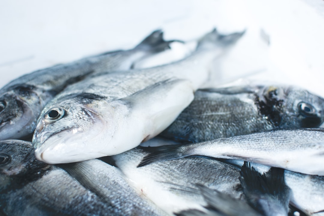 découvrez comment identifier le sexe des poissons grâce à des techniques simples et efficaces. apprenez à reconnaître les caractéristiques sexuelles chez différentes espèces de poissons pour enrichir vos connaissances en aquariophilie et en biologie marine.
