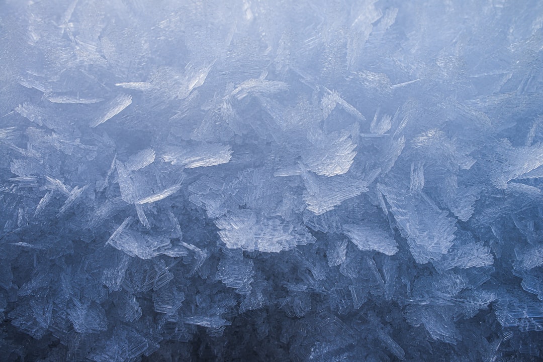 découvrez le monde fascinant du frost, une technique innovante pour créer des designs époustouflants et glacés. apprenez à maîtriser cette méthode et laissez parler votre créativité avec des réalisations uniques et impressionnantes.