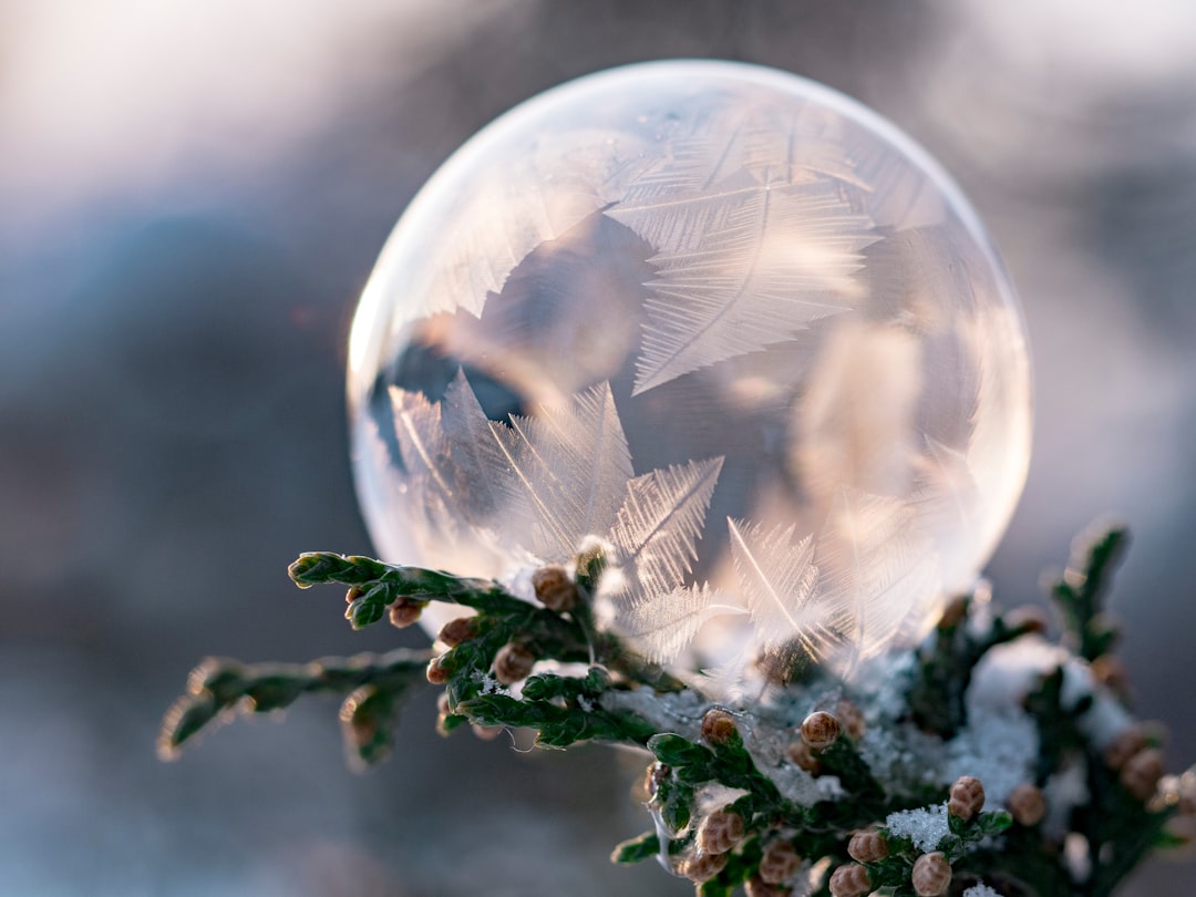 découvrez le monde fascinant de frost, une exploration des textures glacées et des paysages hivernaux. plongez dans l'univers des créations artistiques inspirées par le givre et la neige, et laissez-vous emporter par la beauté éthérée de l'hiver.