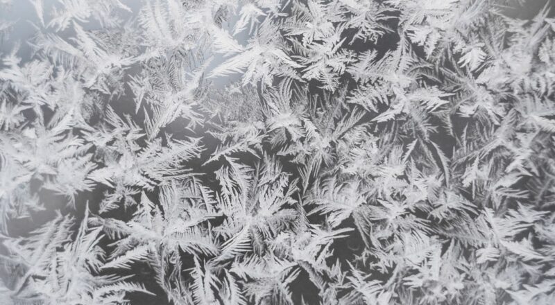 découvrez l'univers fascinant de frost, où la magie de l'hiver se mêle à des histoires captivantes. plongez dans un monde enchanteur, rempli d'aventures glacées, de personnages mémorables et de paysages éblouissants. ne manquez pas cette expérience inoubliable !