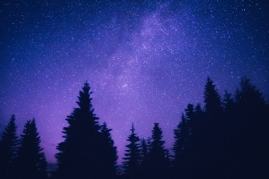 découvrez comment identifier et éliminer les odeurs de moisi dans votre maison. apprenez les causes, les solutions et les conseils pratiques pour assainir votre espace de vie et profiter d'une atmosphère fraîche et saine.