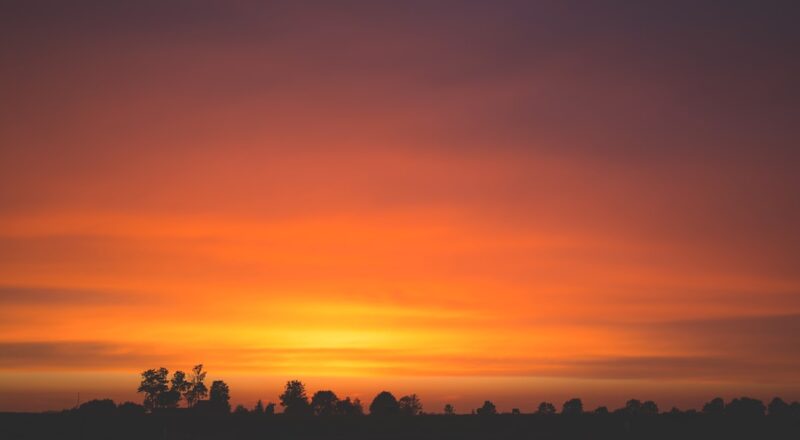 découvrez le monde fascinant de sera, une plateforme dédiée à l'exploration, au partage et à la création de contenus inspirants. plongez dans un univers riche en idées et en découvertes!