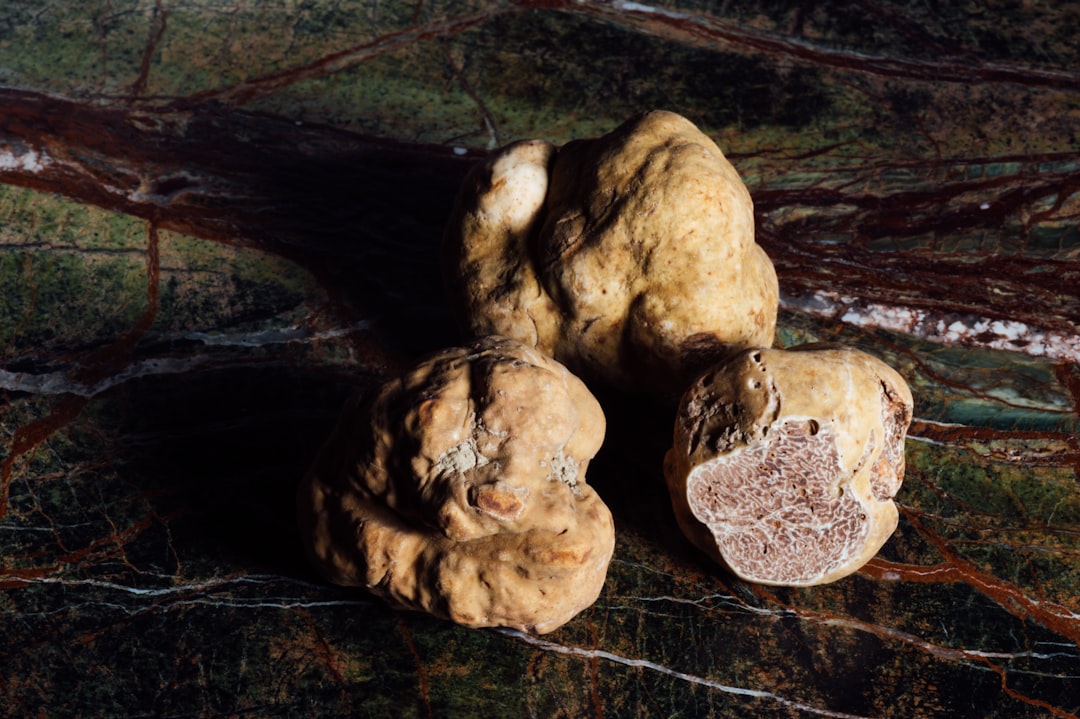 découvrez l'univers des truffes, ces délices gastronomiques prisés des chefs cuisiniers. plongez dans leur histoire, leurs variétés et leurs utilisations en cuisine. une expérience gustative unique vous attend avec ces champignons rares et précieux.