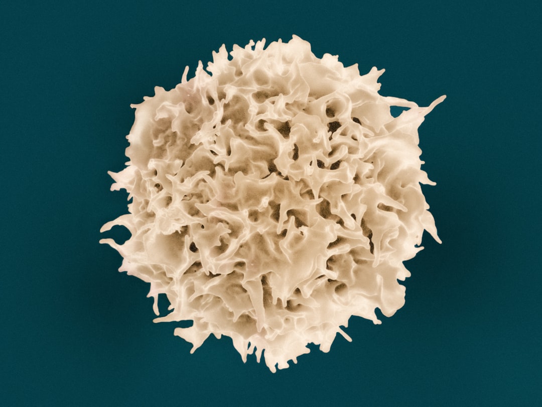 découvrez le rôle essentiel des globules blancs dans le système immunitaire et leur contribution à la défense de l'organisme contre les infections et les maladies. apprenez comment ces cellules jouent un rôle crucial dans la santé et le bien-être.